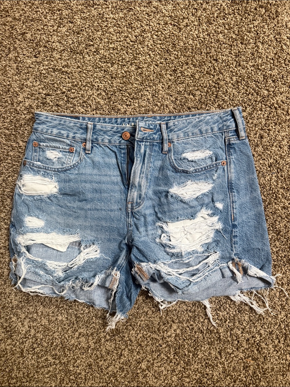 American Eagle Outfitters Distressed Light Blue Denim Cutoff Shorts